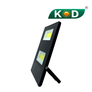 led flood light 100w which used COB and for outdoor using